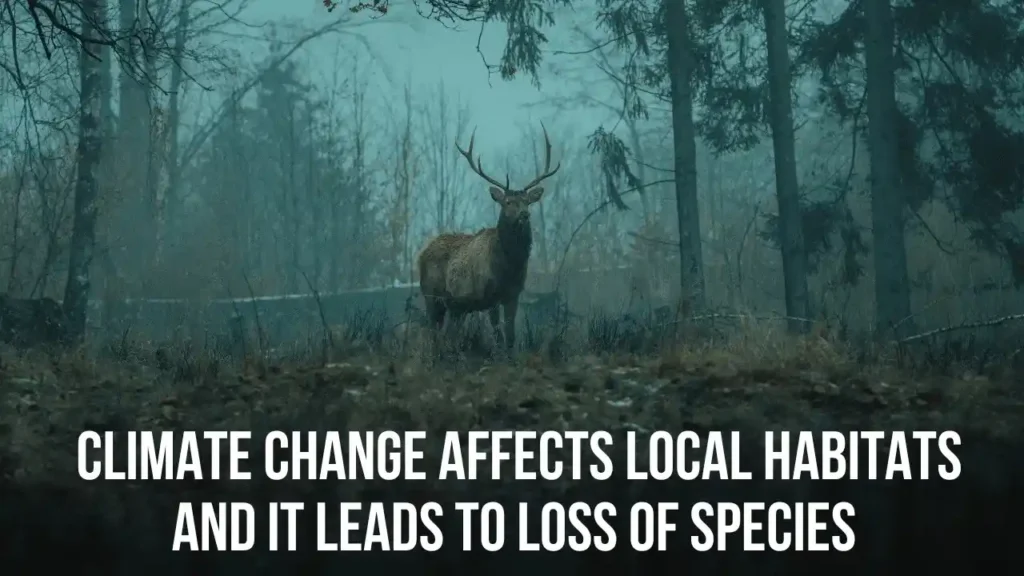 Loss Of Species as climate change affects local habitats and this affects specie lives