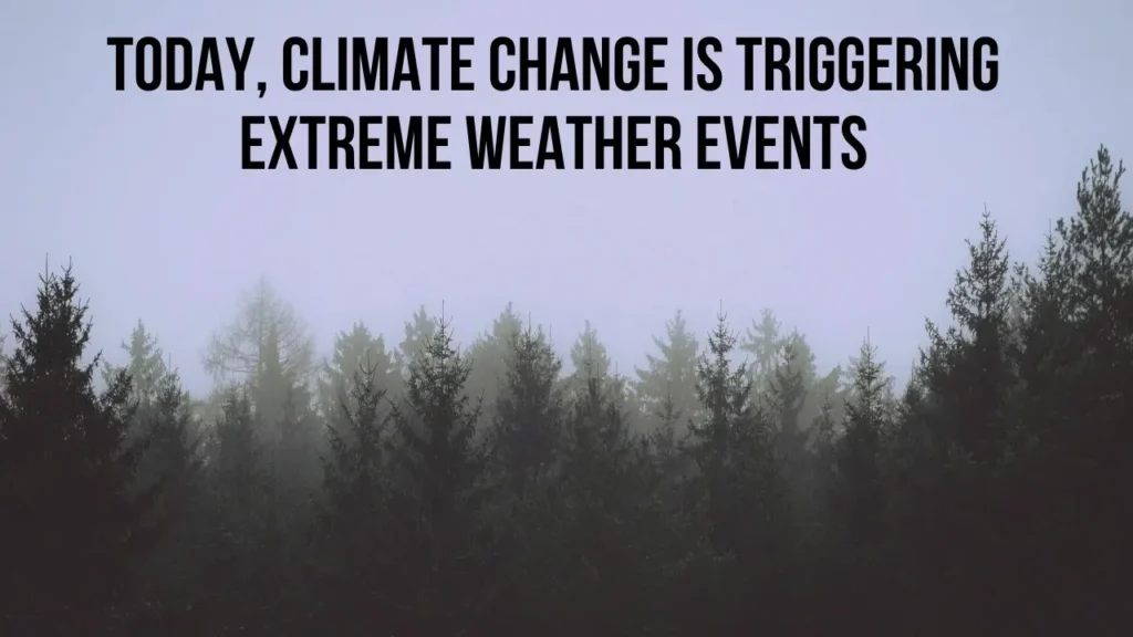 Story Of Climate Change And It's Impacts At The Present Situation